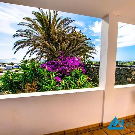 فيلة Montana - Lh113 By Now Ltd *